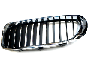 Image of Grille, front, left. BASIS image for your BMW
